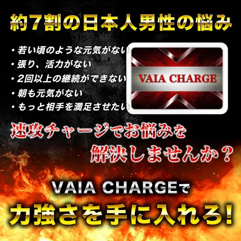 VAIA CHARGE（ヴァイアチャージ）の商品詳細
